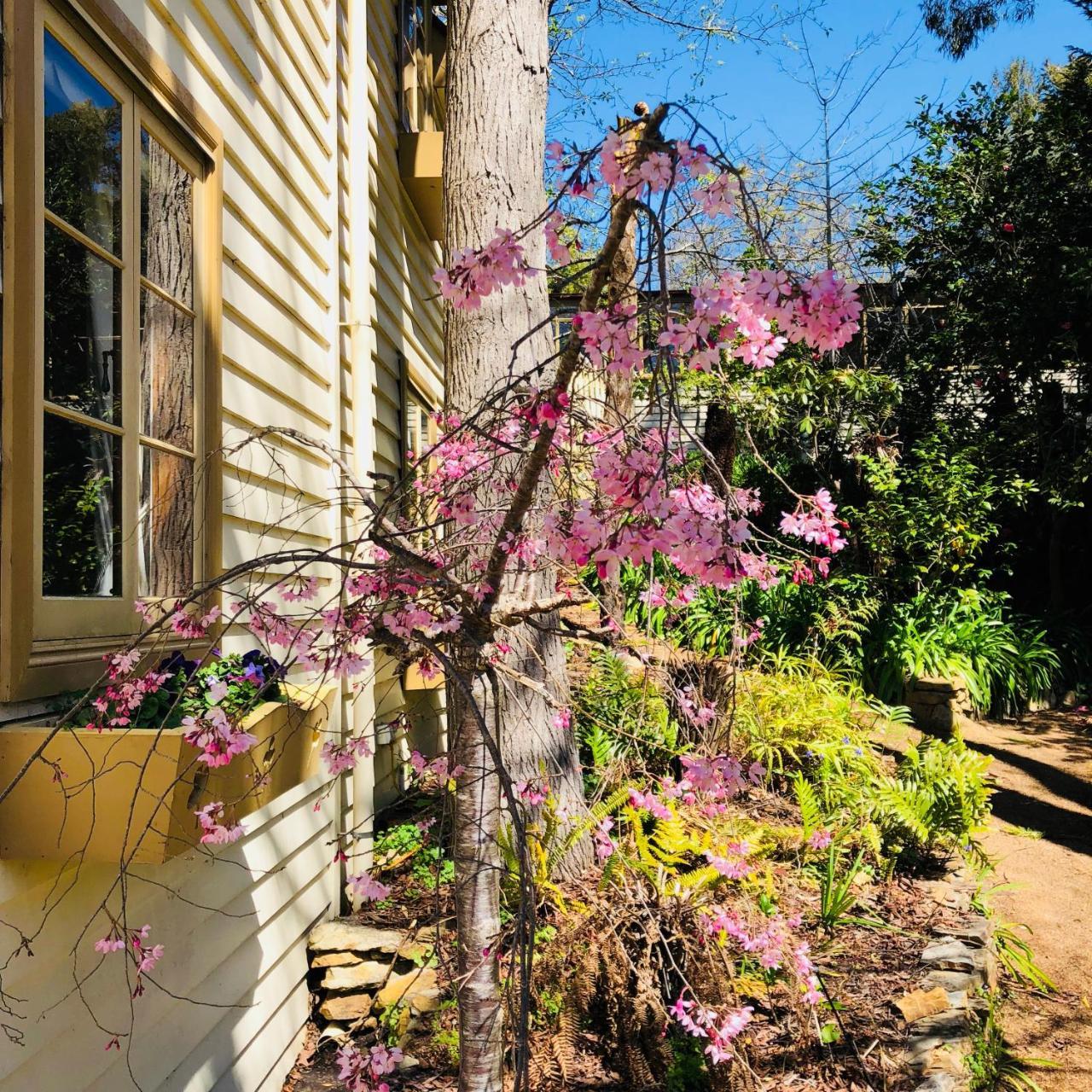 Aldgate Creek Cottage Bed And Breakfast Εξωτερικό φωτογραφία
