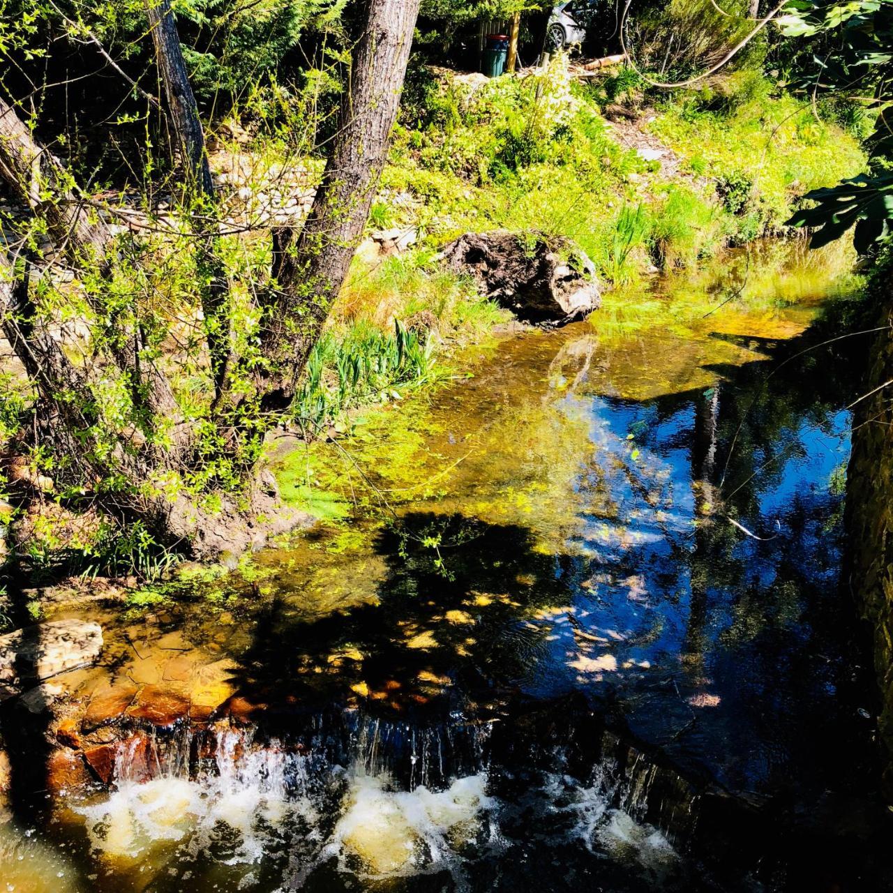 Aldgate Creek Cottage Bed And Breakfast Εξωτερικό φωτογραφία
