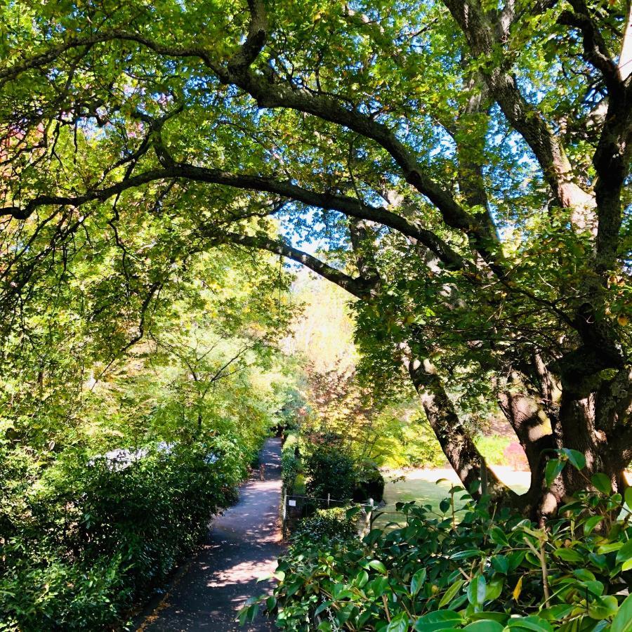 Aldgate Creek Cottage Bed And Breakfast Εξωτερικό φωτογραφία