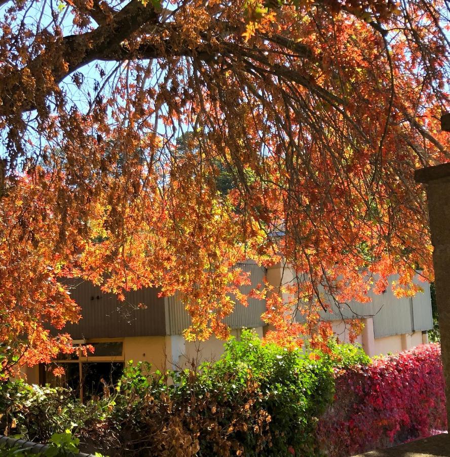 Aldgate Creek Cottage Bed And Breakfast Εξωτερικό φωτογραφία