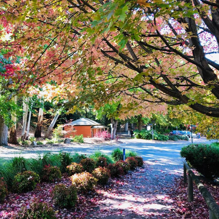 Aldgate Creek Cottage Bed And Breakfast Εξωτερικό φωτογραφία